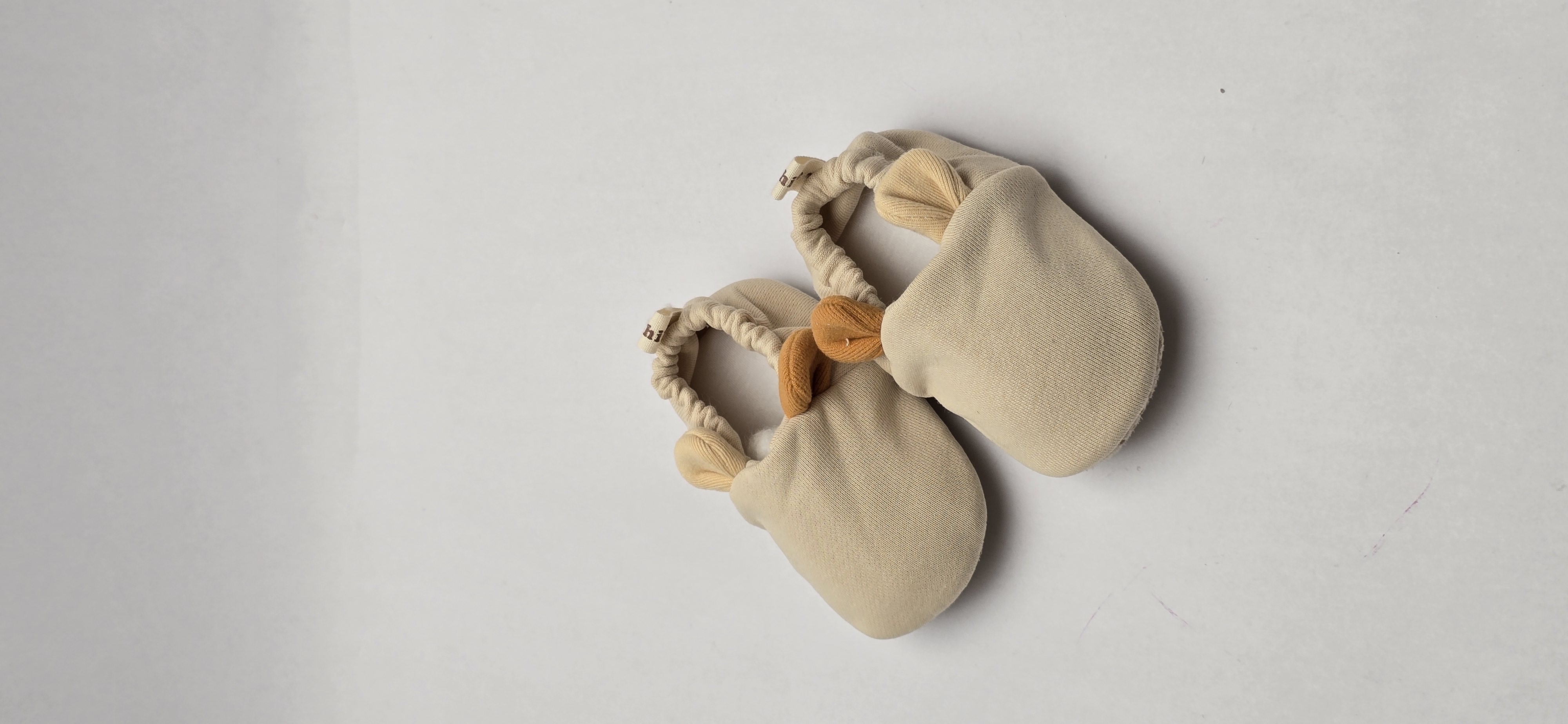 کرم گوش آجری