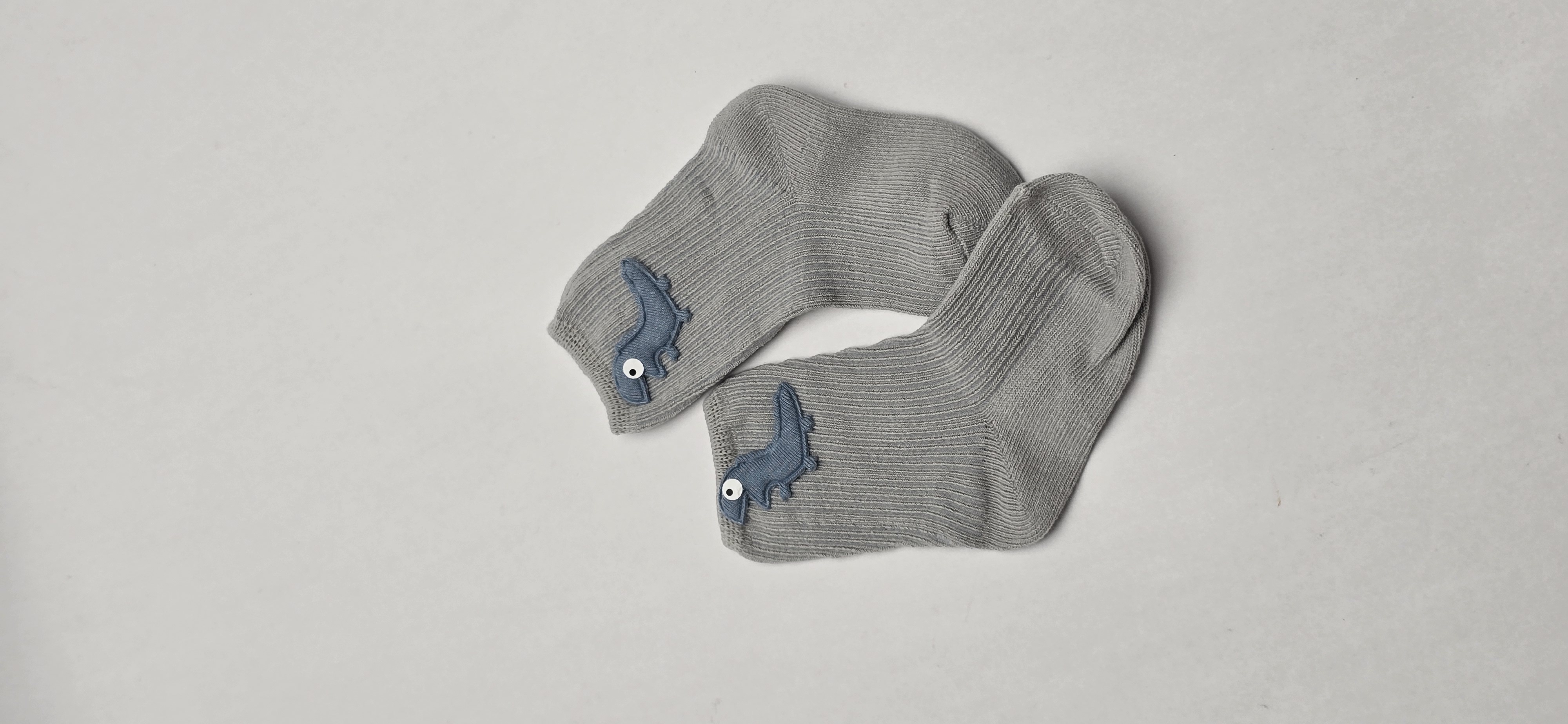 طوسی روشن داینو