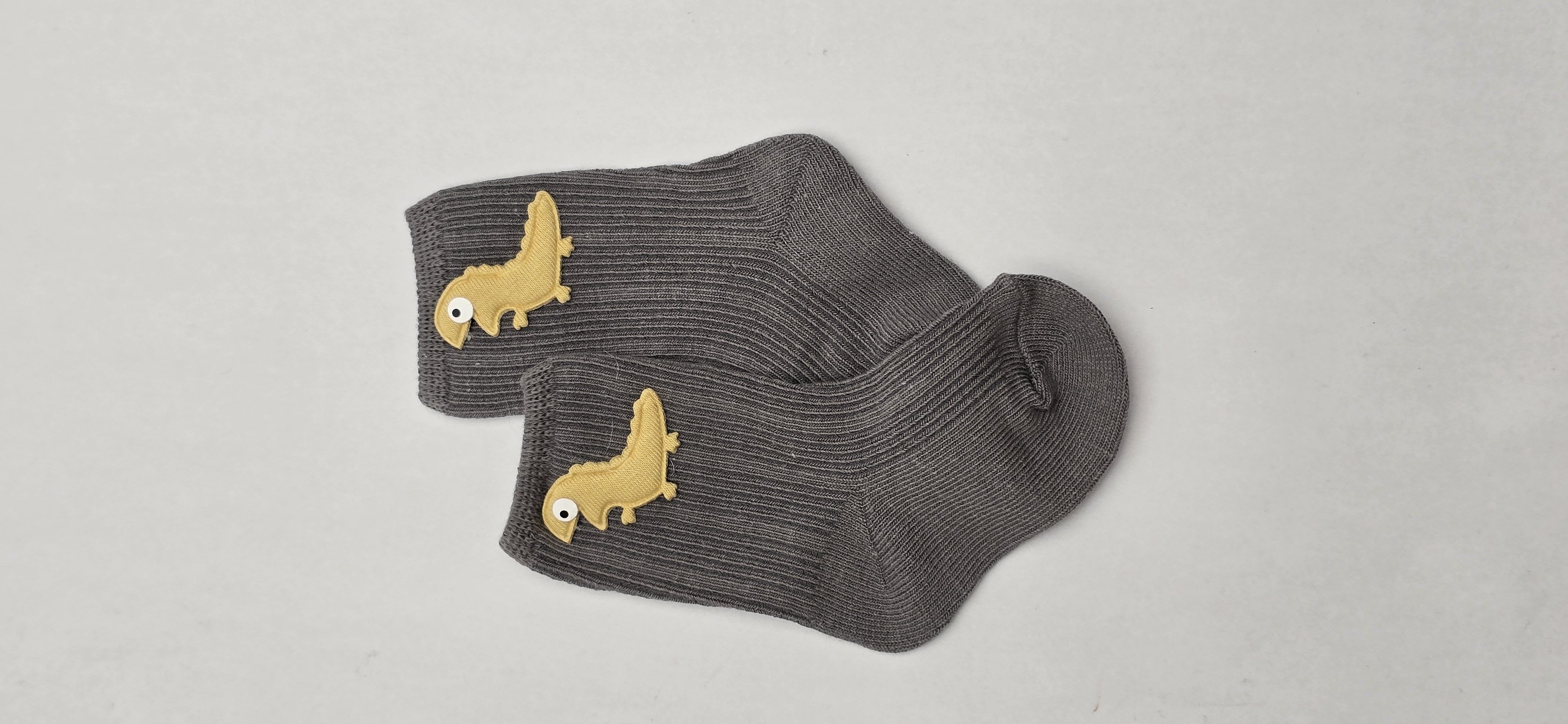 طوسی تیره داینو